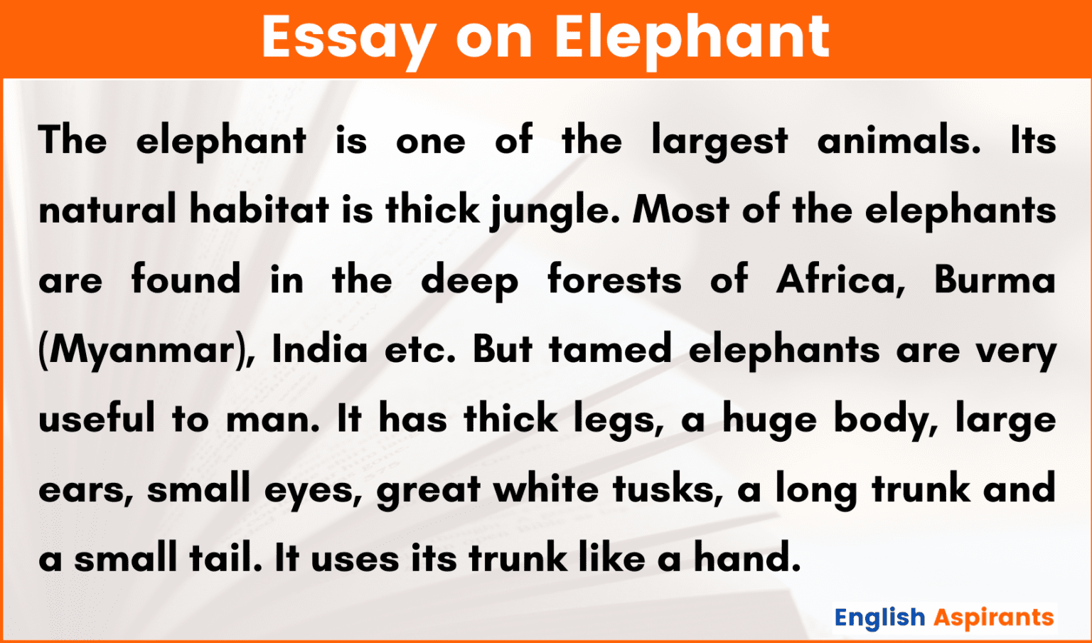 essay of elephant for class 5