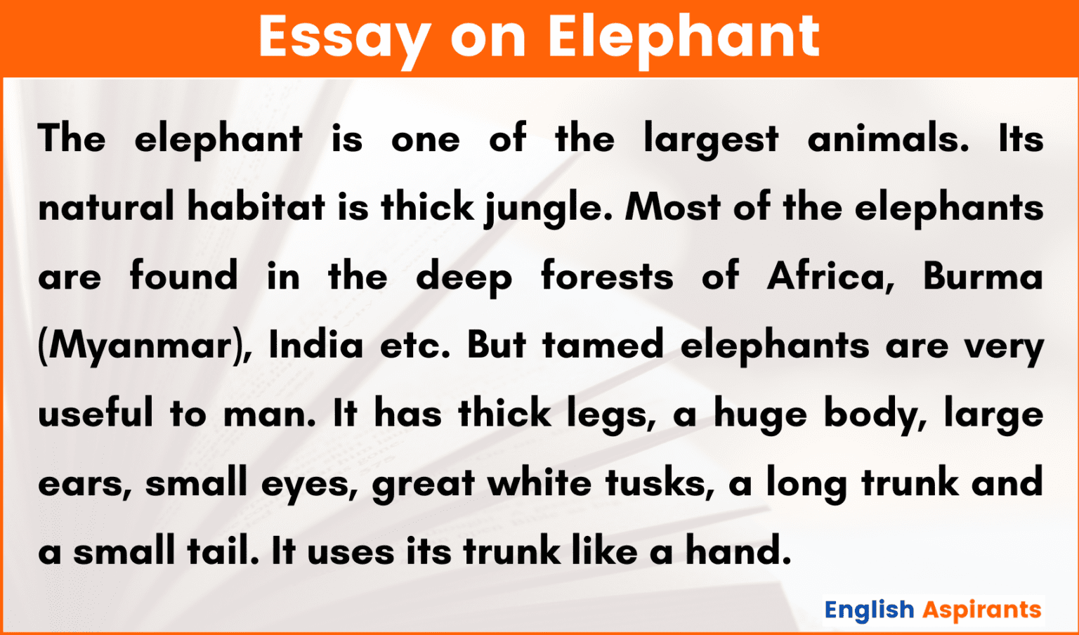 the elephant essay 200 words