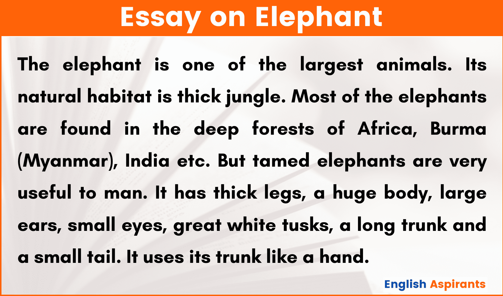 essay on elephant in nepali language