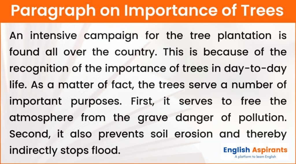 paragraph on importance of trees