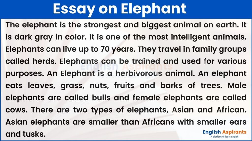 an elephant essay in english