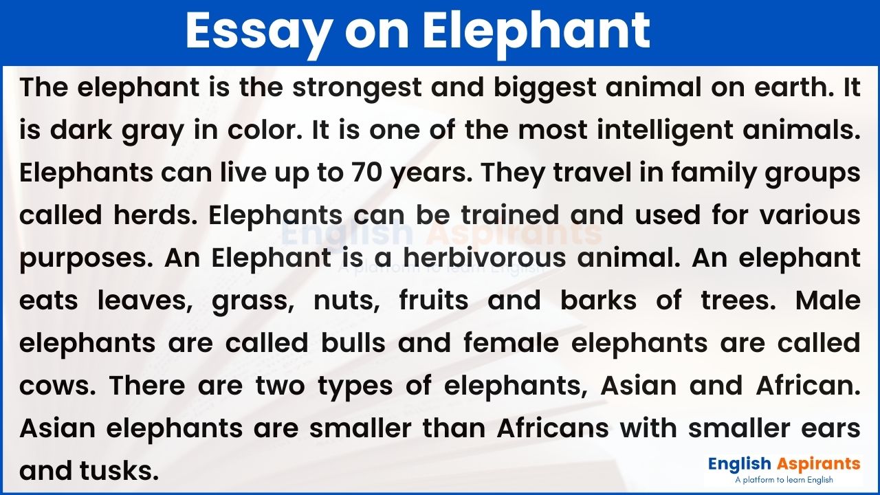 english essay for elephant