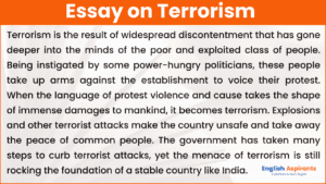 essay of 250 words on terrorism