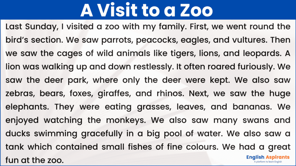 visit at the zoo essay