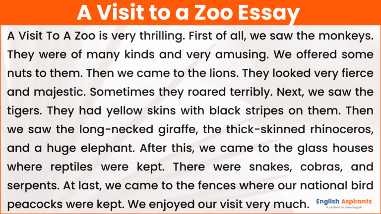 i visited the zoo essay