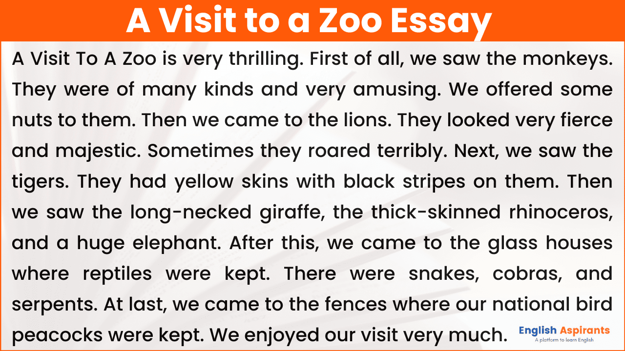a visit to a zoo 