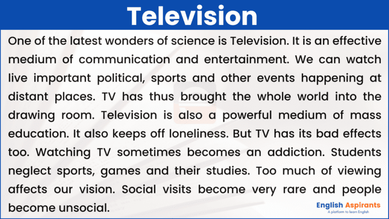 television essay for class 2