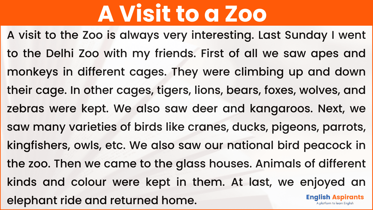 a visit zoo paragraph