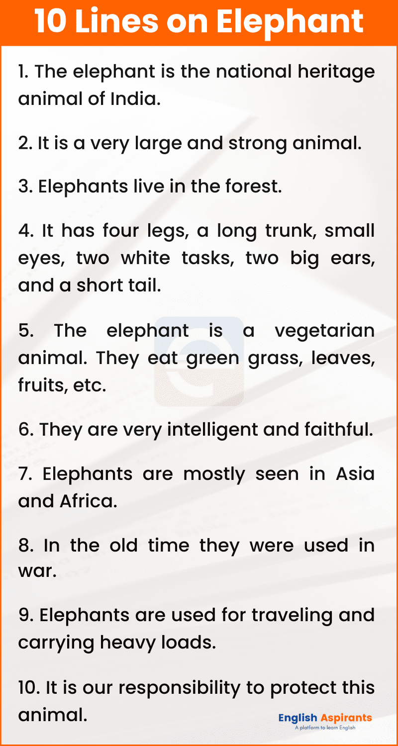 10 Lines on Elephant in English